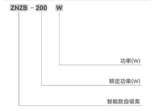 智能款自吸泵