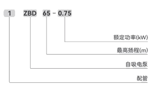 1ZBD高壓自吸泵