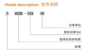 變形金剛自吸泵