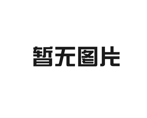 德國(guó)成功研制可輔助人工心臟的磁力泵